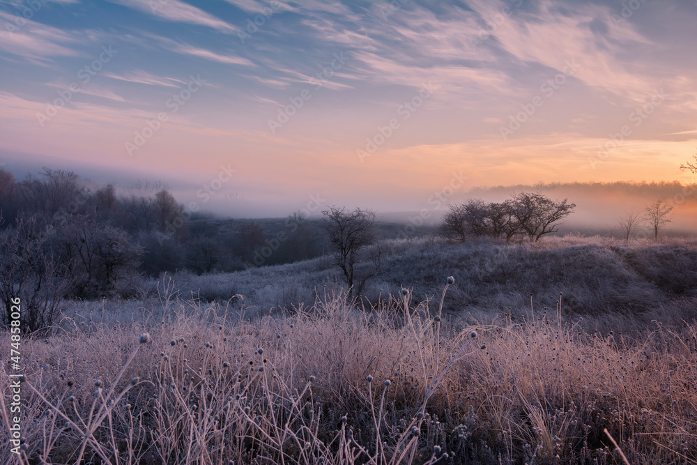 Sunrise landscape with tree and grass in frost