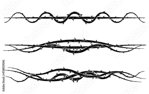 Obraz na plátně Blackthorn branches with thorns set.