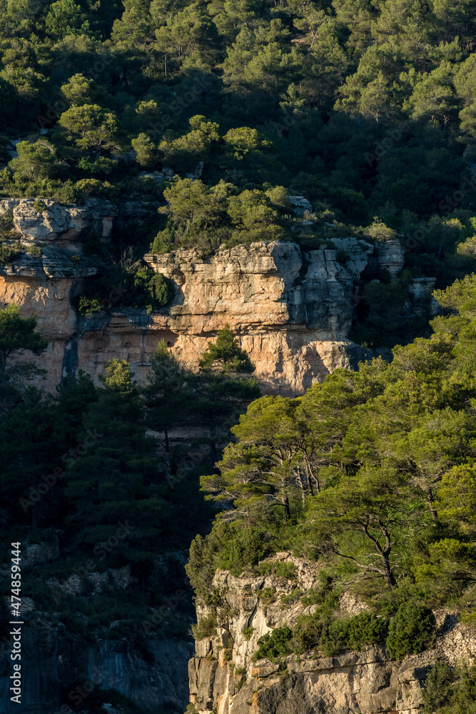 Rocky walls with reddish tones and pine forest in the Siurana mountains, Tarragona, Cataluña, Spain.