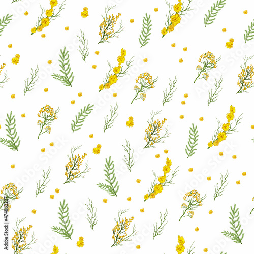 realistic seamless pattern with yellow mimosa flower, grass. a hand-drawn botanical pattern in a minimalist style. spring art wallpaper for print, paper. vector art illustration.