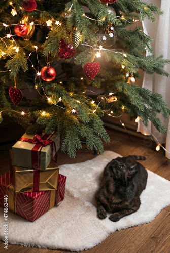 Dark gray cute cat lies on a white faux fur rug under fir tree with fairy lights at home. Cat looking at christmas heart toy. Holiday concept.