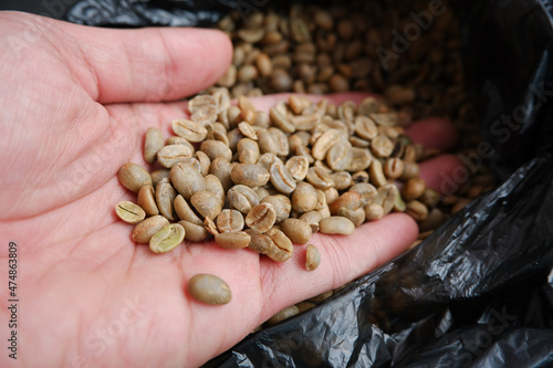 Robusta raw coffee beans. Temanggung robusta green coffee, Indonesia which has not been sorted yet photo