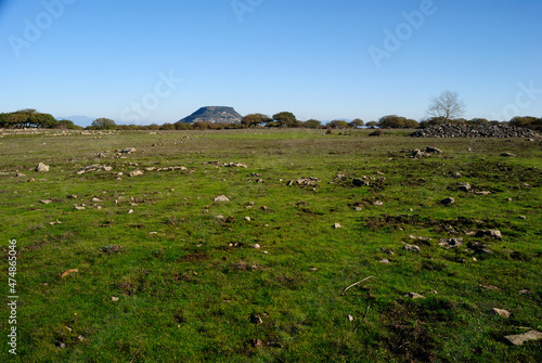 Veduta dell'altopiano del Monte Pelao, sullo sfondo il Monte Santo photo