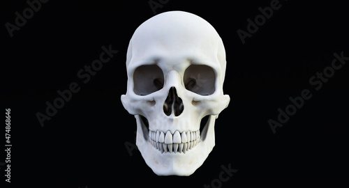 white human skull isolated on dark background, 3D render
