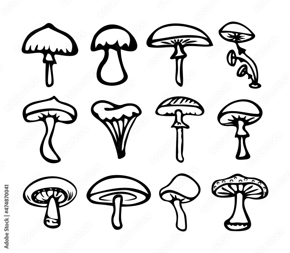 A set of simple doodle mushrooms of different types (honey agarics, toadstools, chanterelles). Black contour isolated on white background. Vector. Coloring book for children theme of autumn. A set of simple doodle mushrooms of different types (honey agarics, toadstools, chanterelles). Black contour isolated on white background. Vector. Coloring book for children theme of autumn.