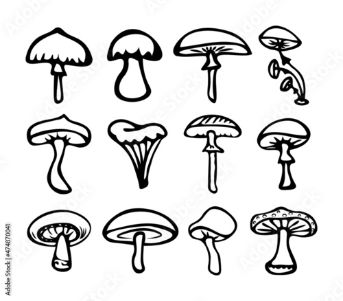 A set of simple doodle mushrooms of different types (honey agarics, toadstools,  chanterelles). Black contour isolated on white background. Vector. Coloring book for children theme of autumn.