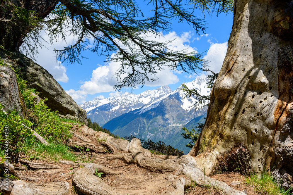 A hiking trail in front of the Mont Blanc massif in the Mont Blanc massif in Europe, France, the Alps, towards Chamonix, in summer, on a sunny day.