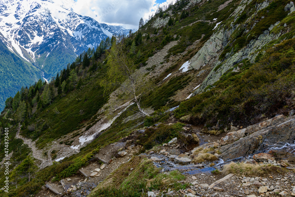 A hiking trail on the edge of the aiguillette des Houches in the Mont Blanc massif in Europe, France, the Alps, towards Chamonix, in summer, on a sunny day.