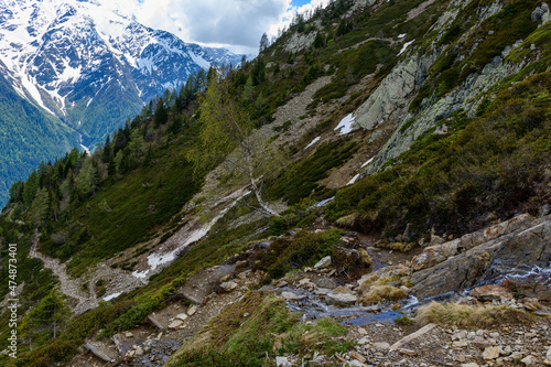 A hiking trail on the edge of the aiguillette des Houches in the Mont Blanc massif in Europe, France, the Alps, towards Chamonix, in summer, on a sunny day.