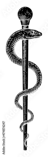 Rod of Asclepius Vintage Medical Snake Symbol photo