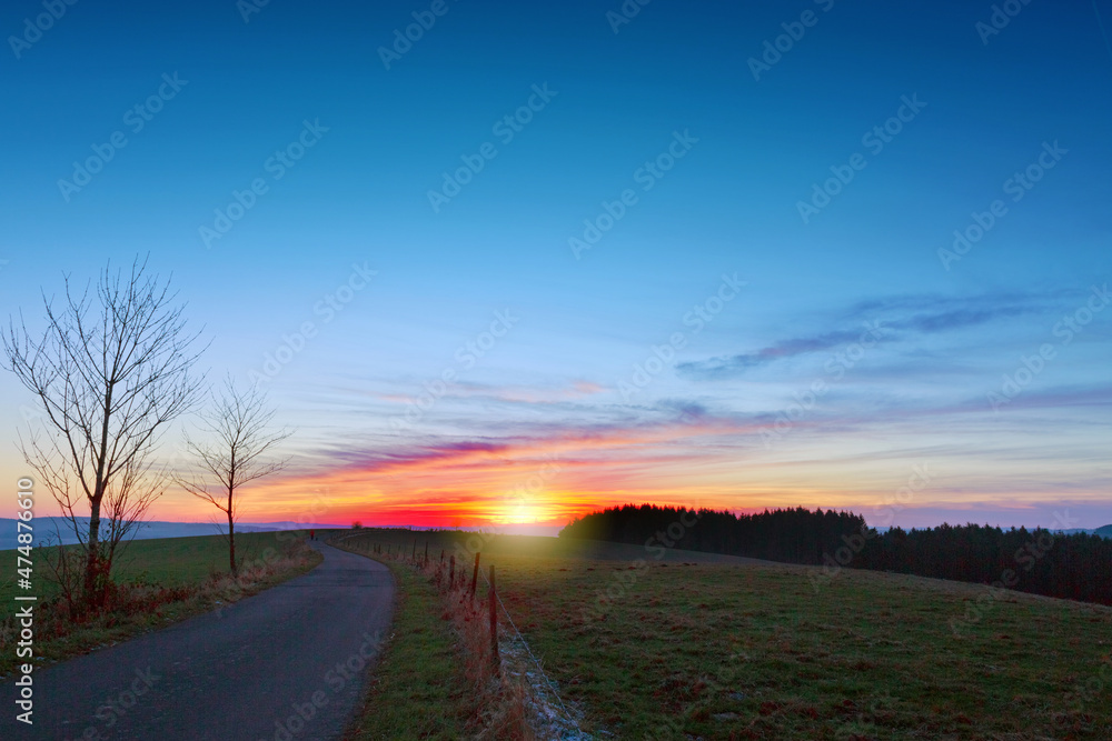 Sunset under the trees. Nature sunset background.