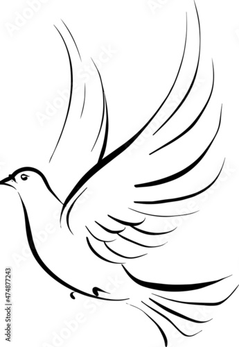 Abstract Bird Logo Template. Simple pigeon vector tattoo tribal.