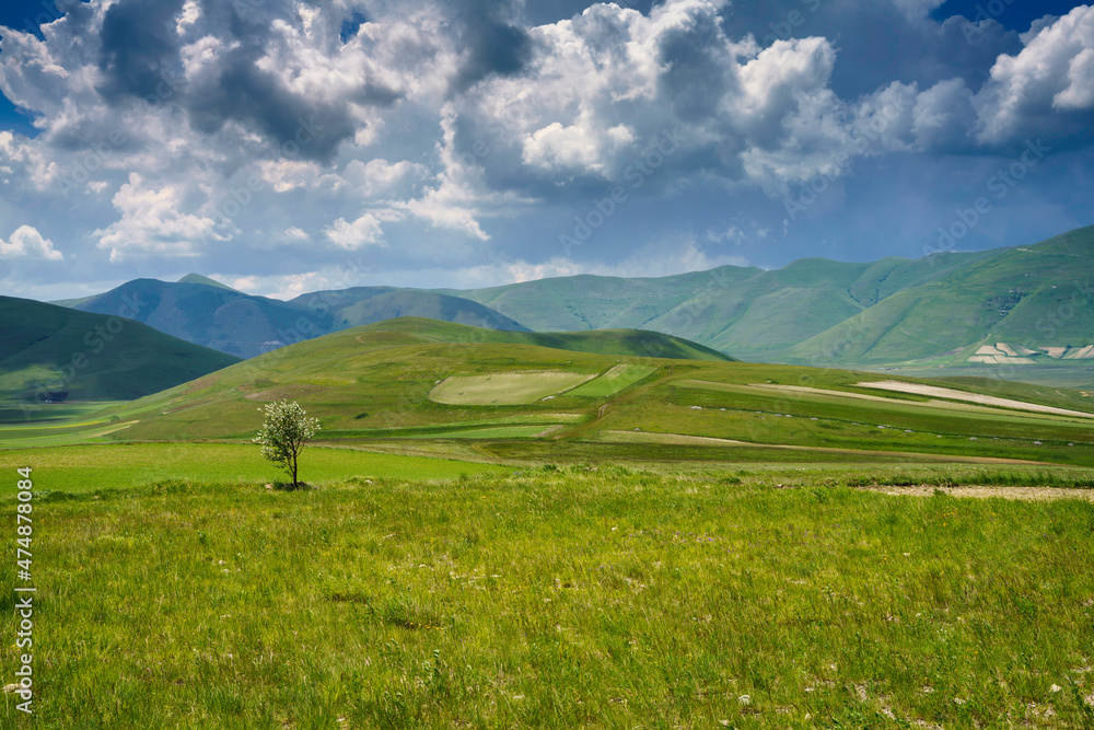 Obraz premium Piano Grande di Castelluccio, mountain and rural landscape