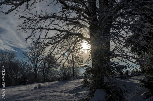 Zima w Bieszczadach  © wedrownik52