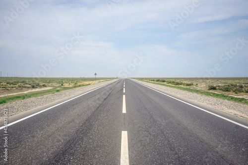 Asphalt road in the steppes of Kalmykia © Pavel