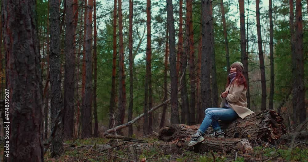 Cute girl sits thoughtfully in the forest on a fallen tree, walking on a cool autumn day. Tall pines and firs, fluffy tree branches, fabulous coniferous forest. Girl looks around and smiles, she is Cute girl sits thoughtfully in the forest on a fallen tree, walking on a cool autumn day. Tall pines and firs, fluffy tree branches, fabulous coniferous forest. Girl looks around and smiles, she is