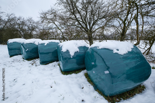 Heuballen / Silageballen in grüner Plastikfolie liegen bei Neuschnee auf einer Wiese: Vorrat an Futter für den Winter