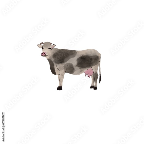 Cow on white background. Farm animal. Illustration. Isolated