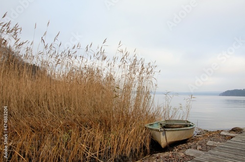 boat on the shore of a quiet lake in the reeds  beautiful landscape
