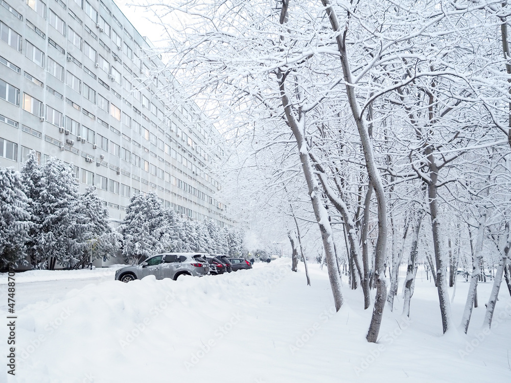Trees covered with snow after heavy snowfall in the city. Trees covered with snow after heavy snowfall in the city.