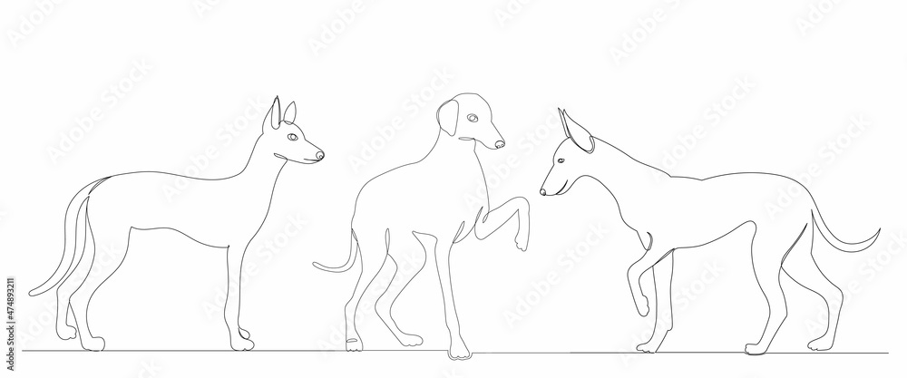 dogs, drawing by one continuous line, sketch