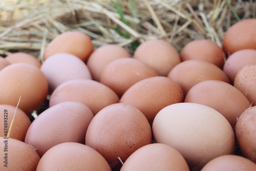 Fresh eggs on dried grass leaves Fresh eggs on dried grass leaves