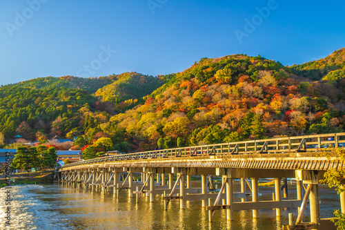 京都府嵐山　紅葉の渡月橋　