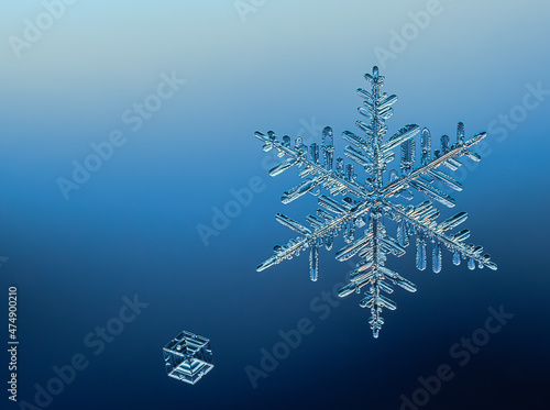 Fotografía Two snowflakes on smooth gradient background