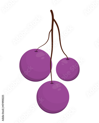 blueberries fruit icon