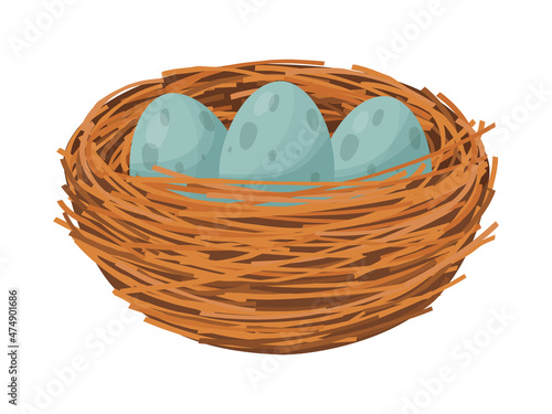 Bird nest. Nest with eggs and branches isolated on white background. 