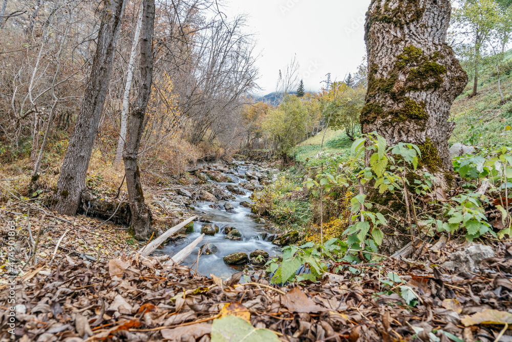 Landscape of a river in the Pyrenees in the valley of Aran Lleida Catalonia Spain Landscape of a river in the Pyrenees in the valley of Aran Lleida Catalonia Spain