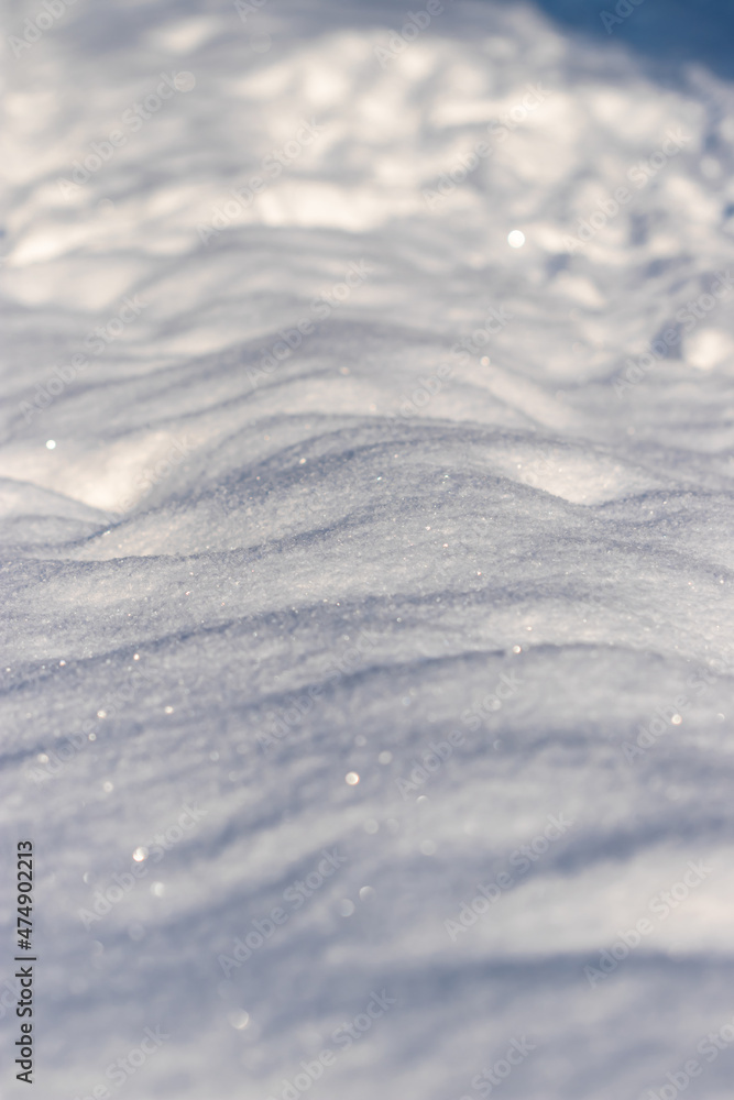 An untouched patch of snow in the forest An untouched patch of snow in the forest