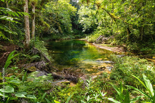 River in the middle of the rainforest in the Guanayara national park