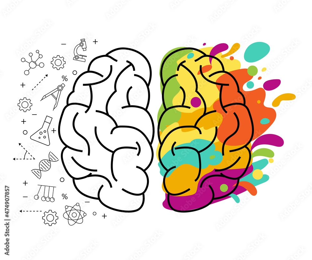 functioning of the left and right brain creative. colorful creativity mind idea. hemisphere of human head concept. vector illustration in flat style modern design. education study and science. functioning of the left and right brain creative. colorful creativity mind idea. hemisphere of human head concept. vector illustration in flat style modern design. education study and science.