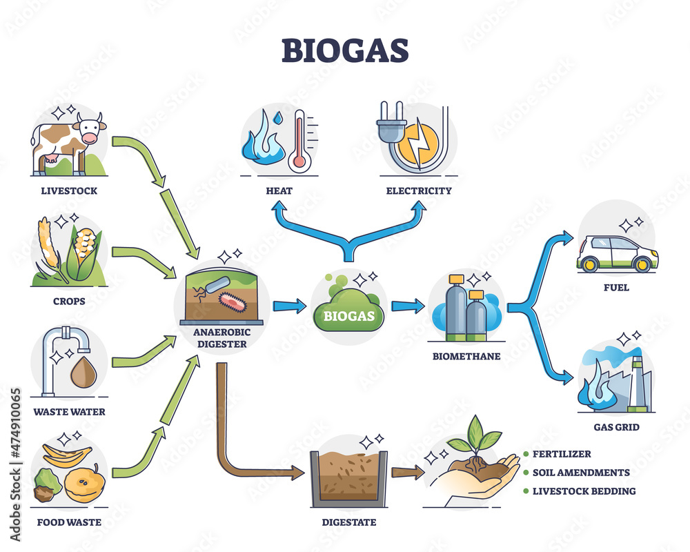 Biogas or bio gas division for energy consumption and sources outline diagram. Labeled educational natural renewable resource for eco gas grid and fuel or heat and electricity vector illustration. - obrazy, fototapety, plakaty 