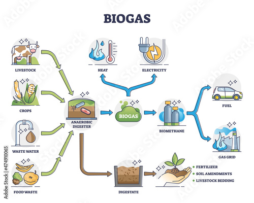 Biogas or bio gas division for energy consumption and sources outline diagram. Labeled educational natural renewable resource for eco gas grid and fuel or heat and electricity vector illustration.