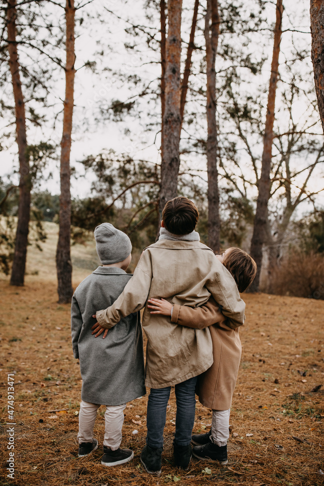 Children hugging, looking up at tall trees in a forest. Children hugging, looking up at tall trees in a forest.
