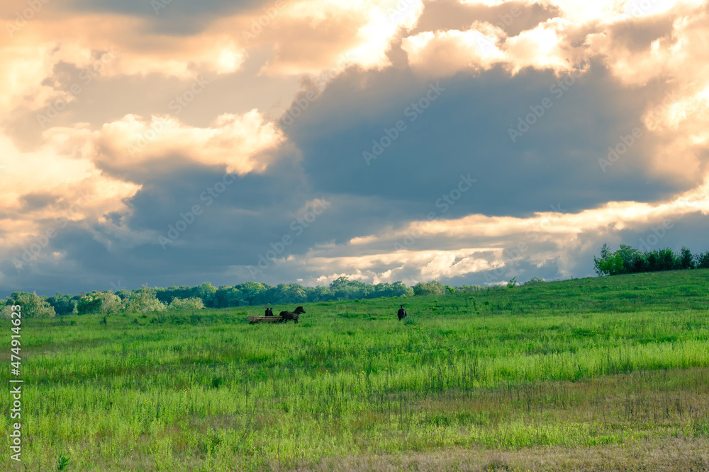A cart with horses on a wide green grassy field under massive clouds in the rays of the setting sun