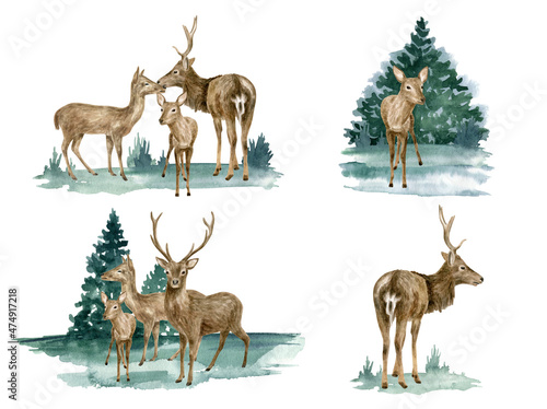 Foto Set of forest deer illustrations