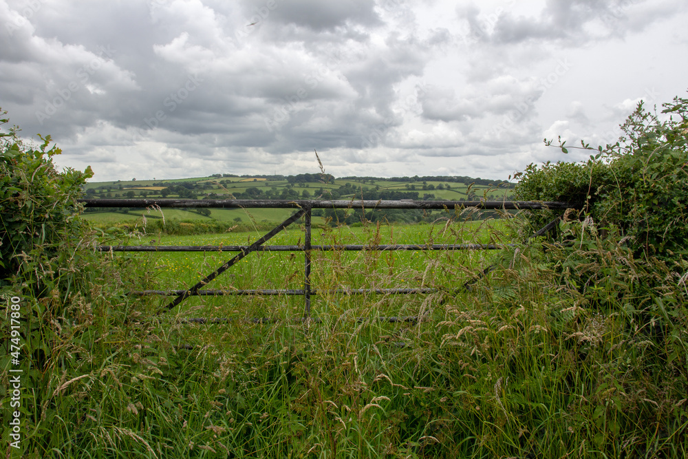 old metal farm gate with weeds growing and a green field in the distance