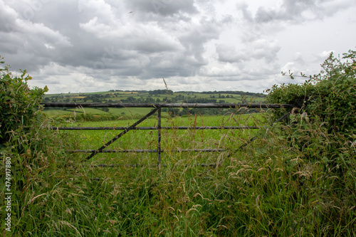 old metal farm gate with weeds growing and a green field in the distance
