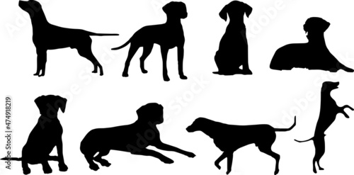 Dalmatian Dog Silhouette Bundle SVG