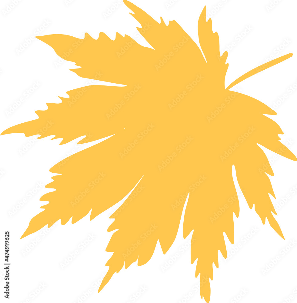 Maple leaf hand drawn sketch icon Maple leaf hand drawn sketch icon