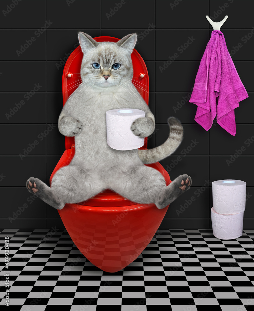 Ταπετσαρία An ashen cat sits on a red toilet bowl in a bathroom.