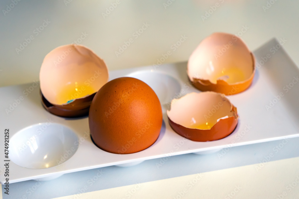 whole chicken egg among the shells. One whole chicken egg among the shells whole chicken egg among the shells. One whole chicken egg among the shells