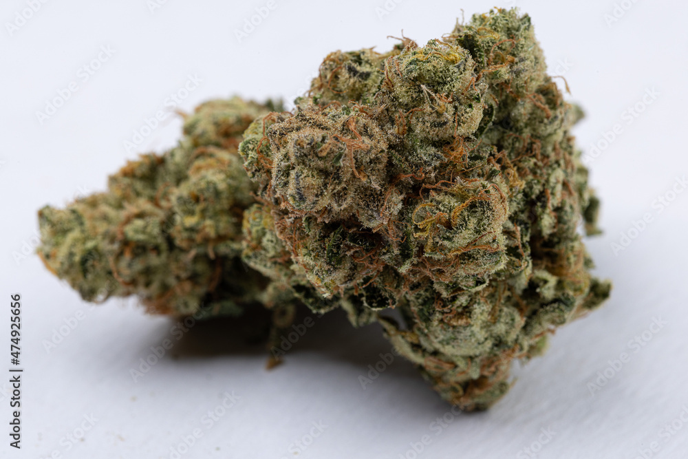 Terpene Tune In Terpene Tune In