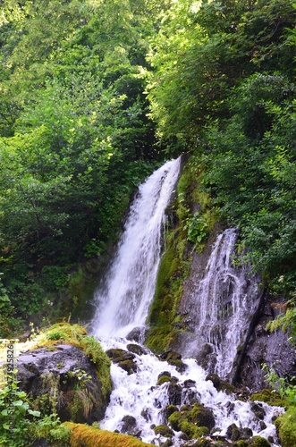 waterfall in the woods