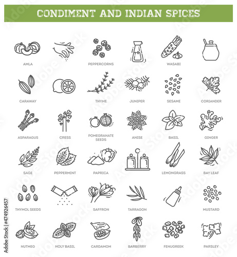 Condiment icons set. Outline set of condiment vector icons