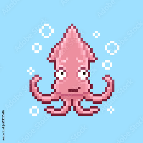 simple vector pixel art sign of cartoon smiling modest cute squid looking up