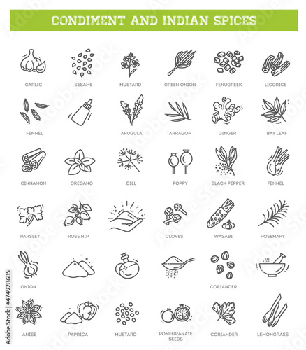 Obraz na plátně Condiment icons set. Outline set of condiment vector icons